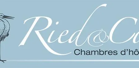 Ried &co Bed & Breakfast Hoerdt